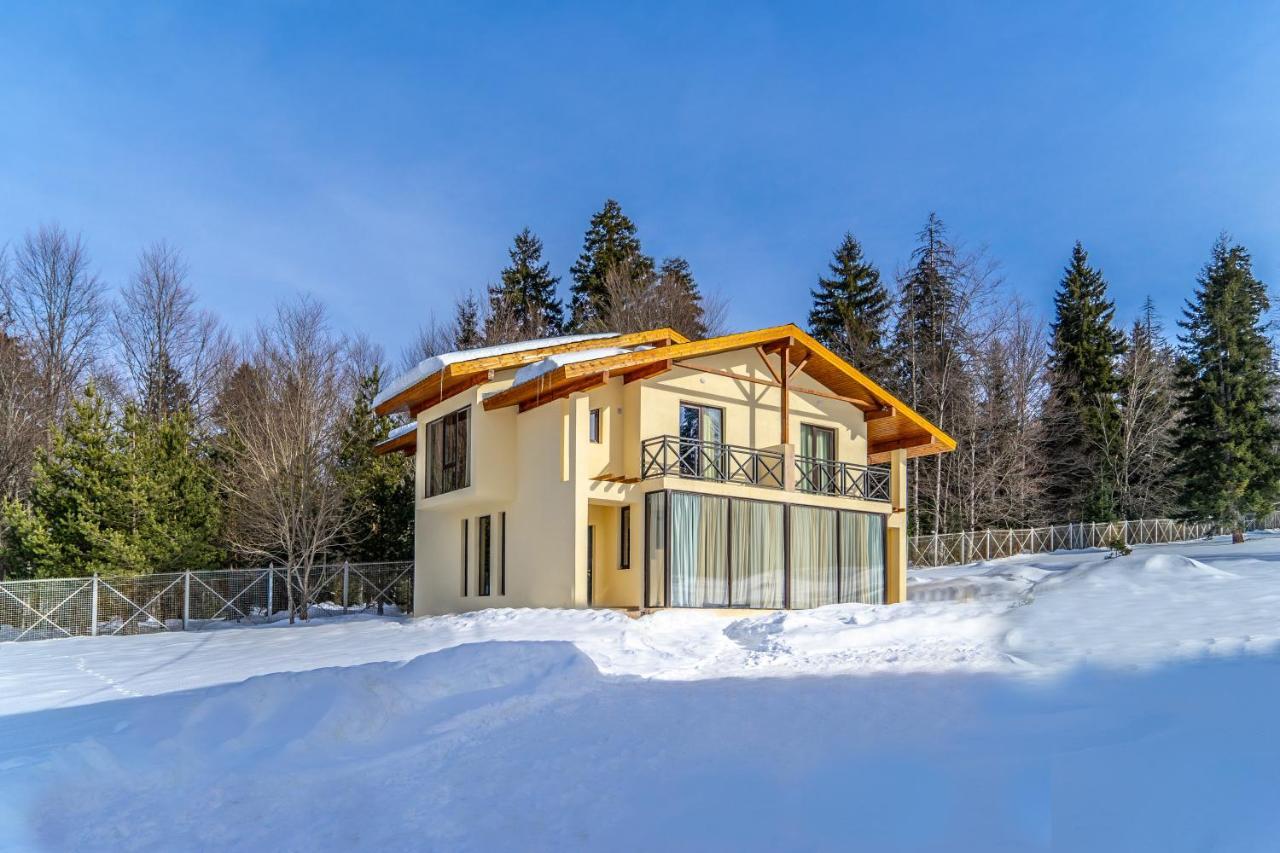 Villa By Sunexpress Bakuriani Luaran gambar