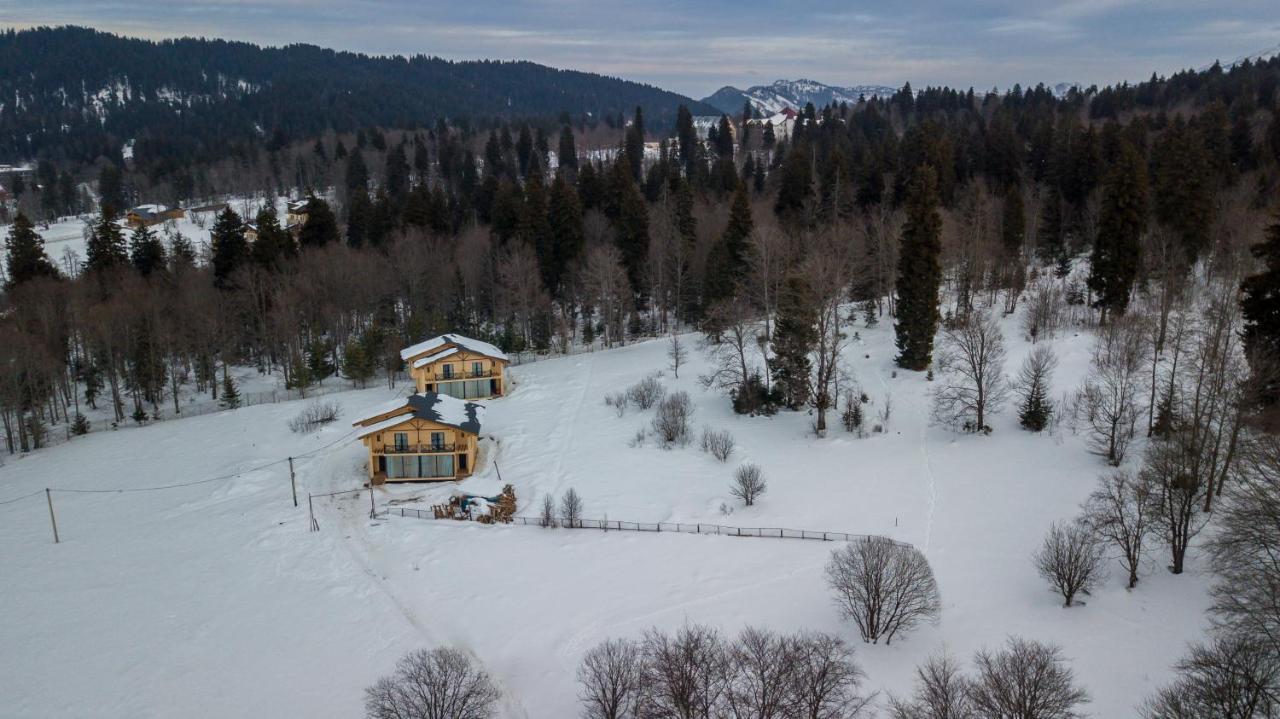 Villa By Sunexpress Bakuriani Luaran gambar